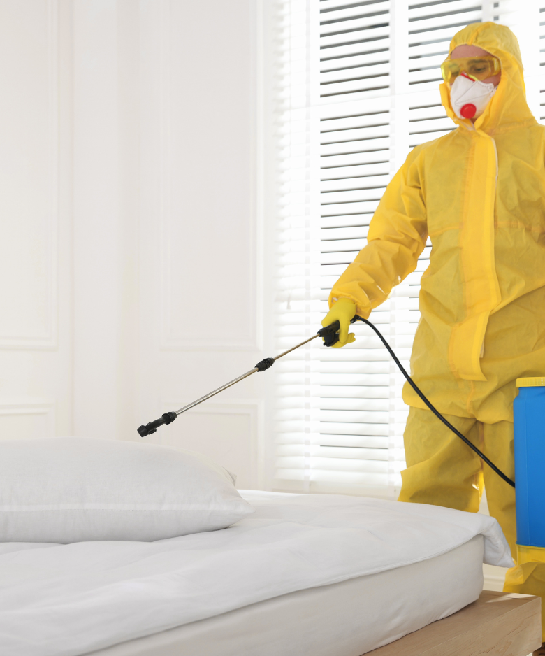 Professional Pest Control Team in Ashton